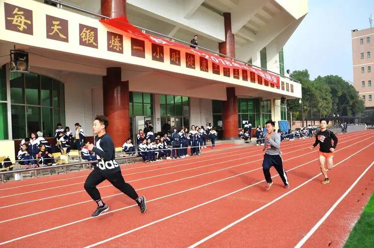 3个户外臂力训练器，助你塑造强壮的上肢肌肉
